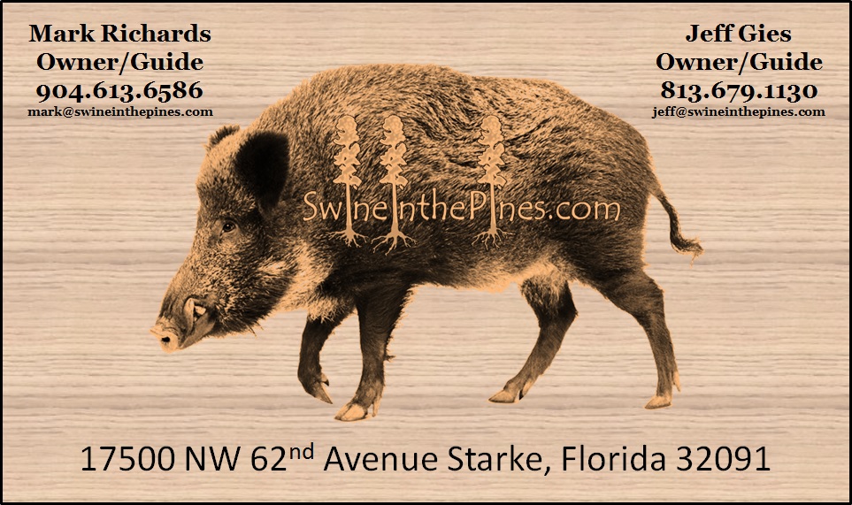 Contact Swine In The Pines